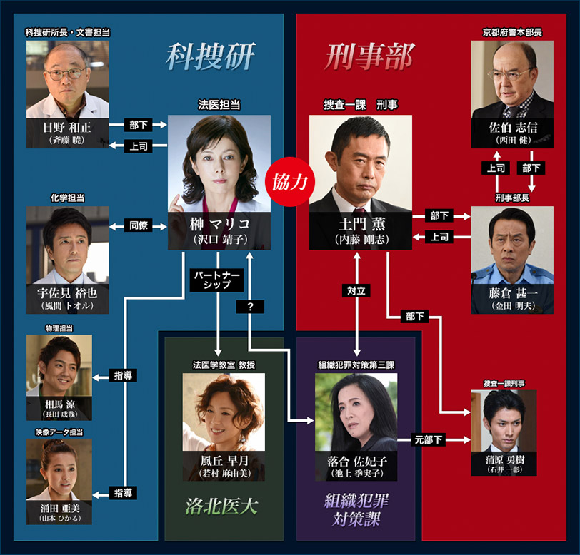 Kasouken no Onna Season 15 [科捜研の女 15] Chart