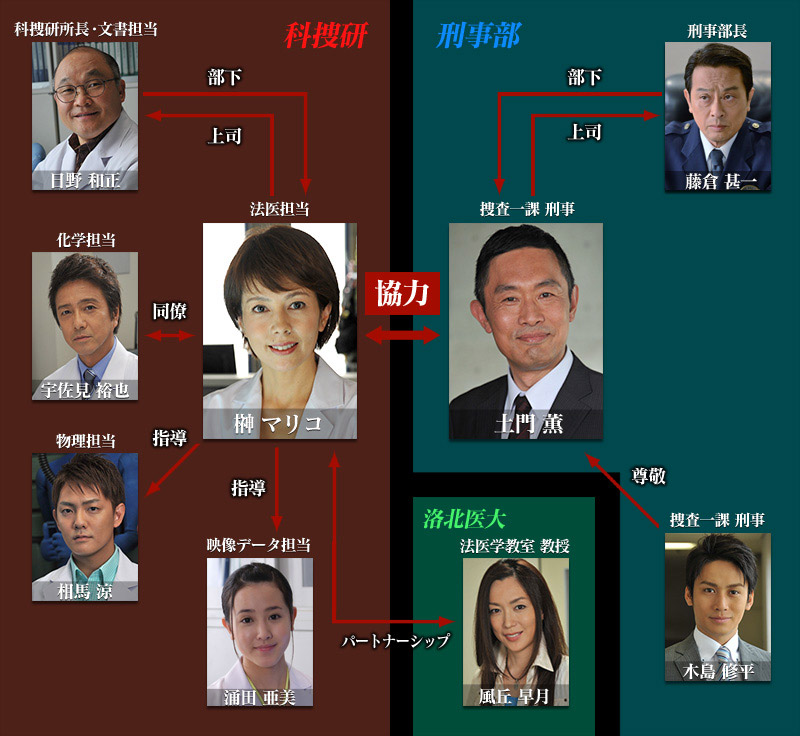 Kasouken no Onna Season 13 [科捜研の女 13] Chart